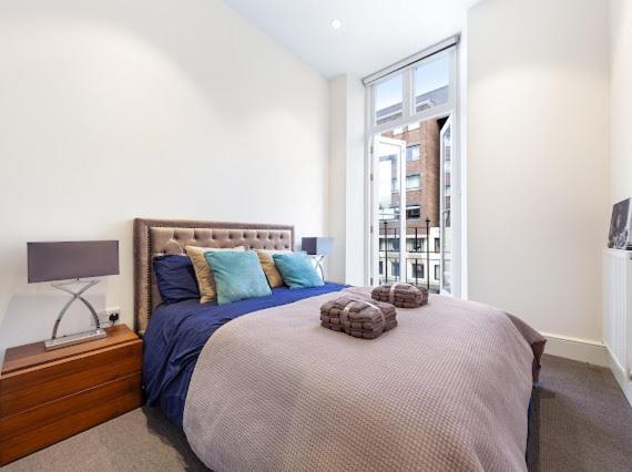شقة Harley Street Luxury Snug لندن المظهر الخارجي الصورة