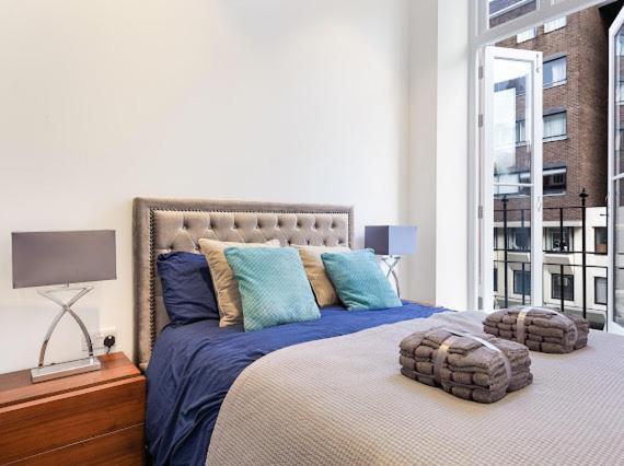 شقة Harley Street Luxury Snug لندن المظهر الخارجي الصورة