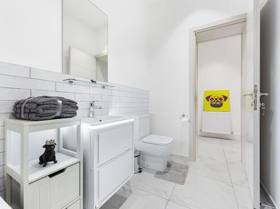 شقة Harley Street Luxury Snug لندن المظهر الخارجي الصورة