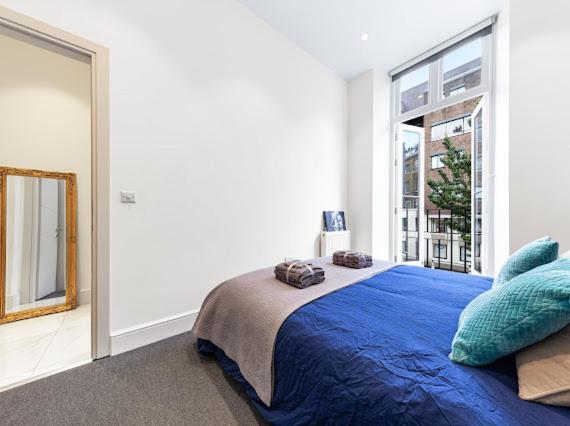 شقة Harley Street Luxury Snug لندن المظهر الخارجي الصورة