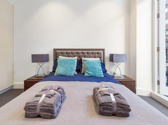 شقة Harley Street Luxury Snug لندن المظهر الخارجي الصورة